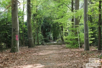 Land van Ooit 7 jaar later